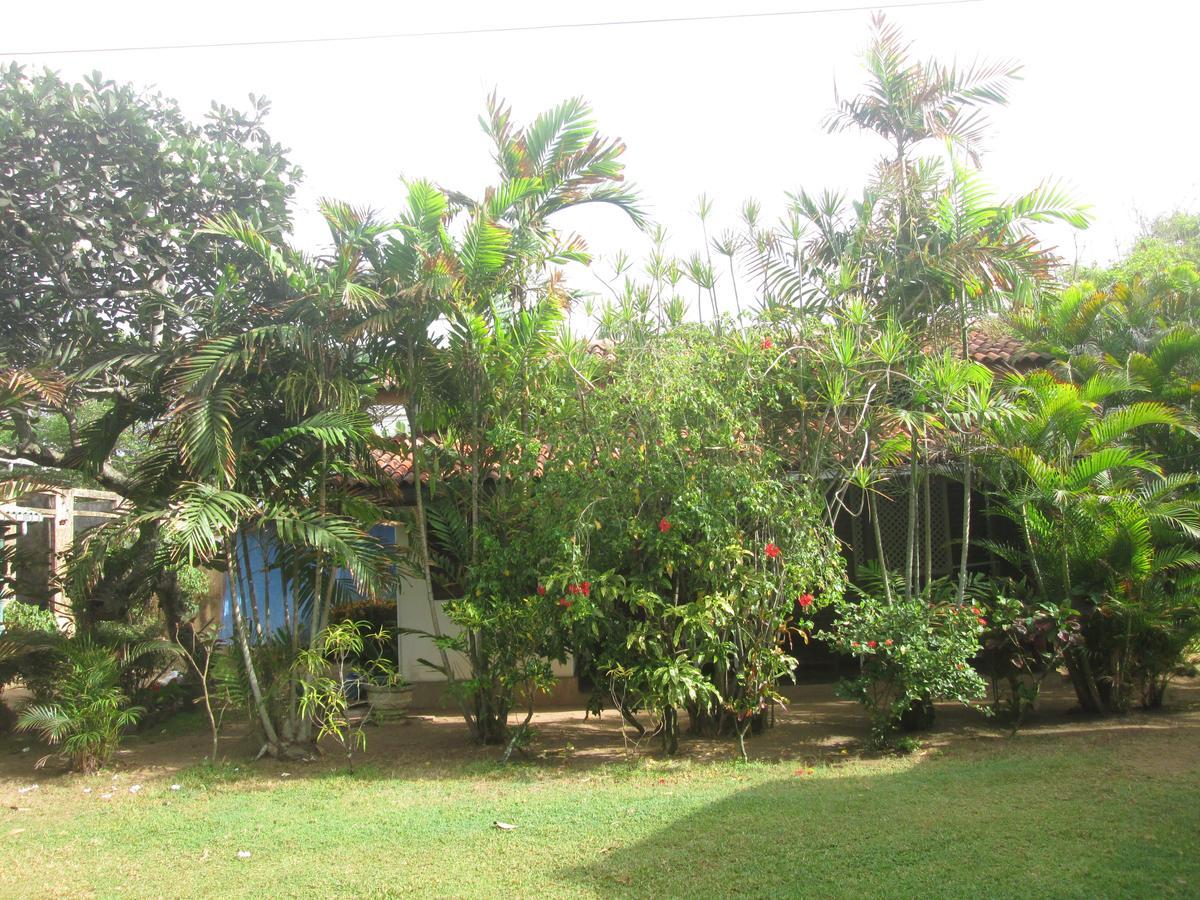 Cottage Garden Bungalows Моратува Экстерьер фото